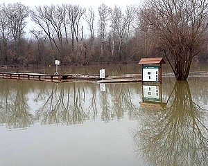 Magas a Tisza - sok a belvíz