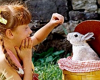 Állatbarát húsvét - Ne vásároljunk élő kiscsibét és nyuszit húsvétra!