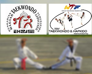 Háború a Máté Taekwondo és a Szövetség között