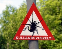 Csak nagyobb baj ne legyen