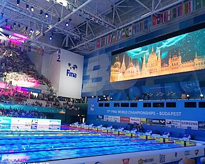 Világkupán versenyeznek a HSÚVC úszói