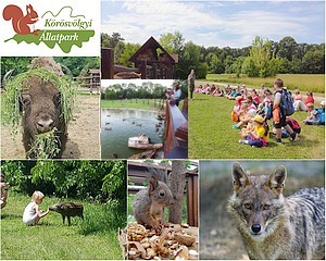 Egy hónap múlva nyílik a Körösvölgyi Látogatóközpont és Állatpark