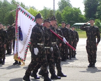 Fiaink a külhonban