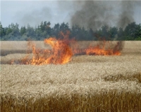 Most jön a tűzveszélyes időszak