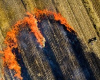 Tarlótűz Szikáncson - országos tűzgyújtási tilalmat rendeltek el.