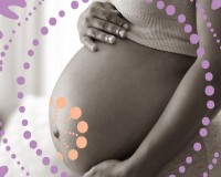 Program a gyermekvállalás támogatására