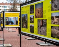 A 43. Magyar Sajtófotó Kiállítás a Kossuth téren