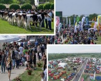 Idén nincs akadálya a kiállítás megrendezésének