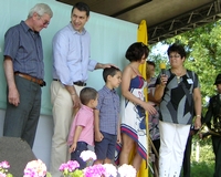 Kinőtték a Széchenyi teret 
