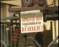 Zene, buli, Hódstock, lehettünk volna többen is