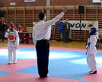 Brilliáns taekwondos eredmények Pécsett 