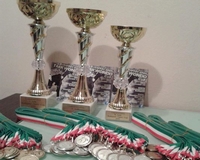 Vásárhelyi taekwondo sikerek a Budapest Open Cup versenyen