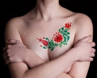 Mi legyen Vásárhely hungarikuma?