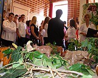 Itt a fűben is művészet terem