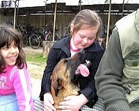 Tanévkezdésre a Kozmutza tagintézménye lesz az Aranyossy