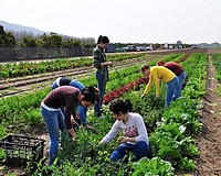Hatályos az agrárkamarai törvény