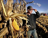 Kötelező az agrárkamarai tagság