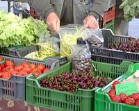 Kitűzték a kamarai választások időpontját
