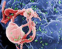 A lappangó szörnyeteg – AIDS Világnap