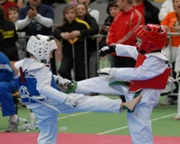 Sport - Vásárhelyi sikerek Sindelfingenben