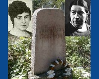 Berde Mária újrafelfedezése