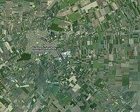 Eljárás indul a parlagfű-mentesítés elmulasztása miatt