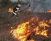 Volt munkájuk a vásárhelyi tűzoltóknak