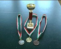 Felvételi többletpontokat ér a diákolimpián szerzett érem