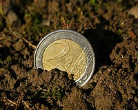 Hamarosan indul a földalapú támogatás kifizetése