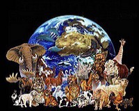 WWF: a vadállatok fele elpusztult az utóbbi évtizedekben