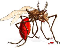 A szúnyogcsípésről még több