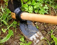 Egyházi földeken dolgozhatnának a romák