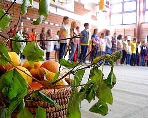 Őszi kavalkád a Lisztben